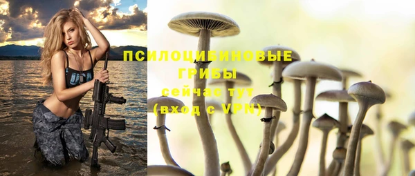 марки lsd Белоозёрский