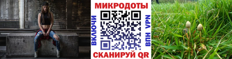 Псилоцибиновые грибы MAGIC MUSHROOMS  гидра зеркало  Купино 